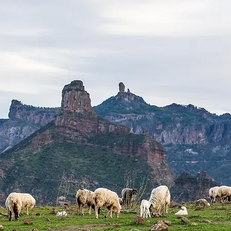 Дом отдыха Monte Golf *