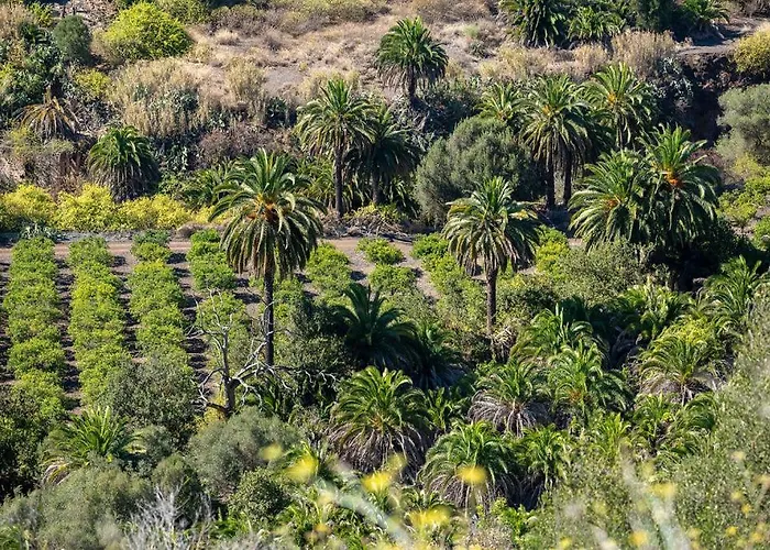 Monte Golf Πλάγια ντελ Ινγκλές